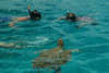 Bougainvillea Beach Resort 